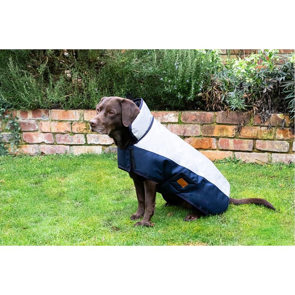 Benji & Flo Thelwell Collection Pony Friends Dog Coat (L - XXL)