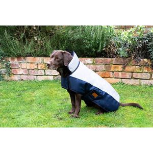 Benji & Flo Thelwell Collection Pony Friends Dog Coat (L - XXL)