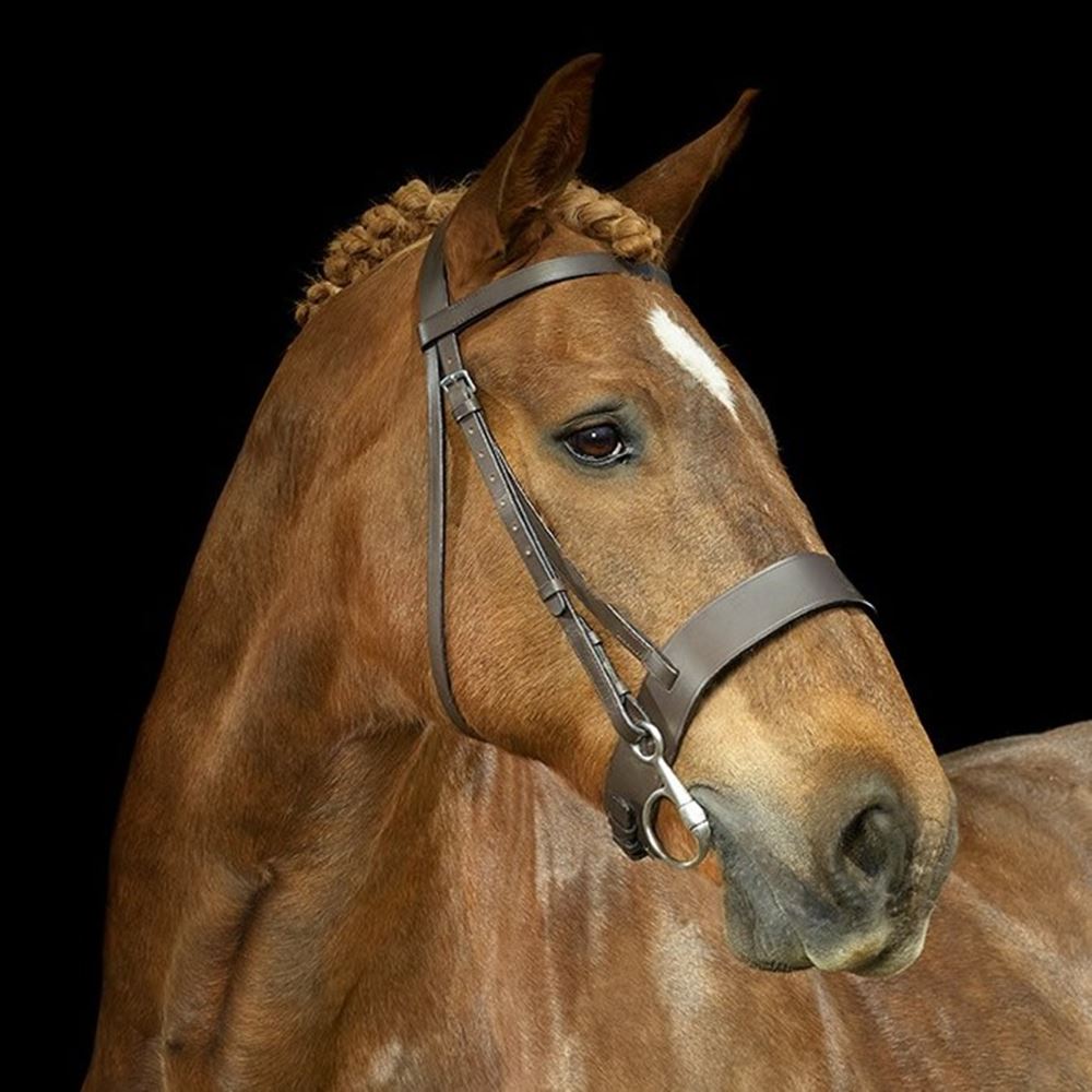 Gallop Hunter Bridle 