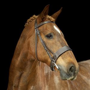 Gallop Hunter Bridle 