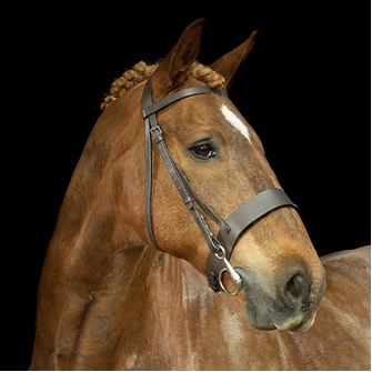 Gallop Hunter Bridle