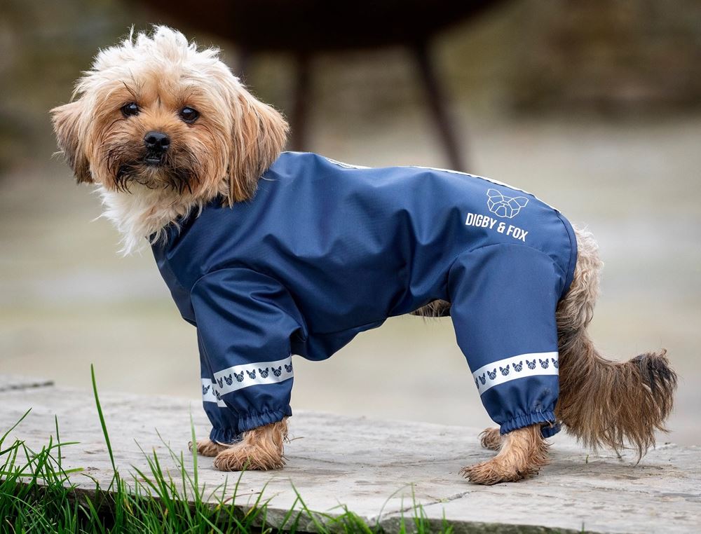 Shires Digby & Fox Cover-All Dog Coat (XXXXS - XXL)