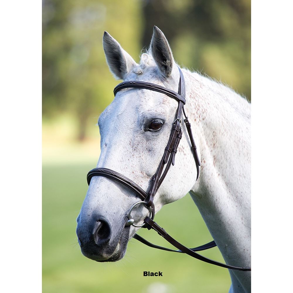 Shires Avignon Padded Raised Cavesson Bridle