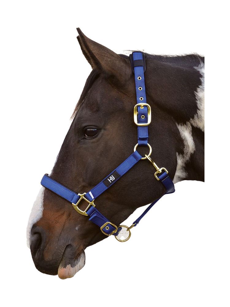 Hy Deluxe Padded Head Collar