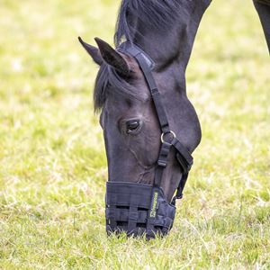 Shires FreeGraze Comfort Grazing Muzzle