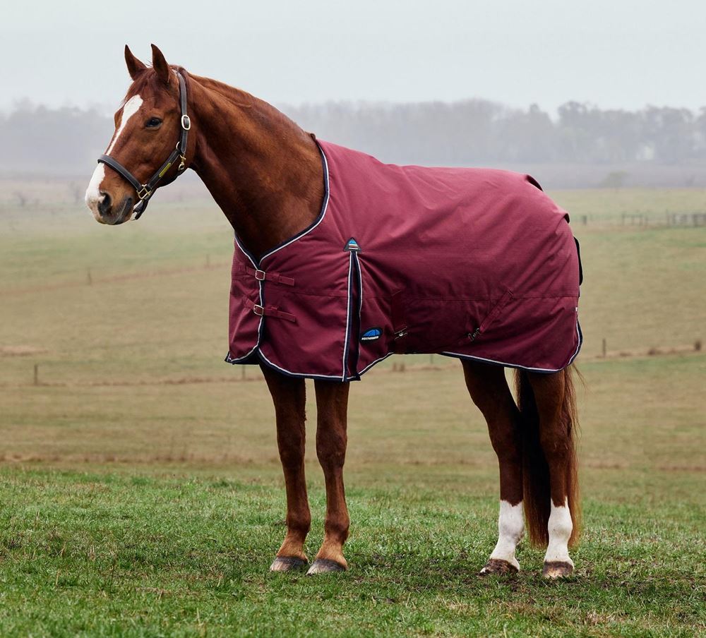Weatherbeeta Comfitec Prelim Turnout Combo - 0g (Burgundy/Navy)
