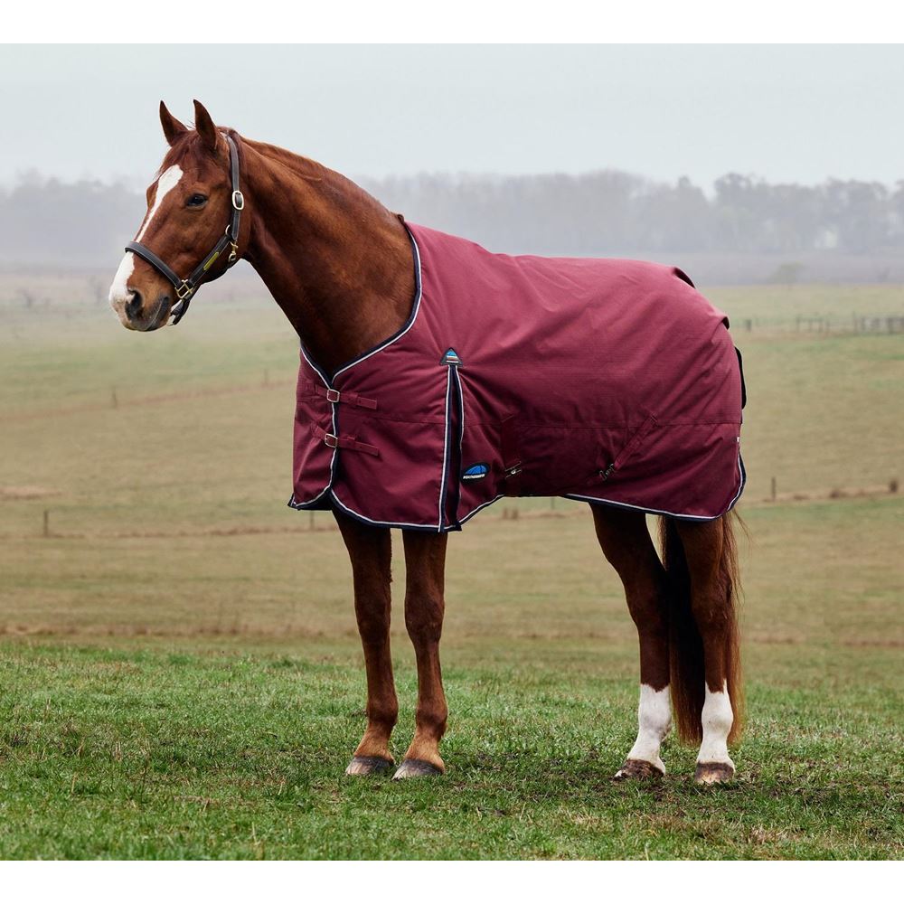 Weatherbeeta Comfitec Prelim Turnout Combo - 0g (Burgundy/Navy)