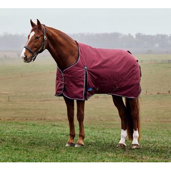 Weatherbeeta Comfitec Prelim Turnout Combo - 0g (Burgundy/Navy)