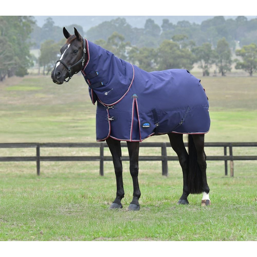 Weatherbeeta Comfitec Essential Turnout Detach-A-Neck - 220g (Navy/Burgundy)