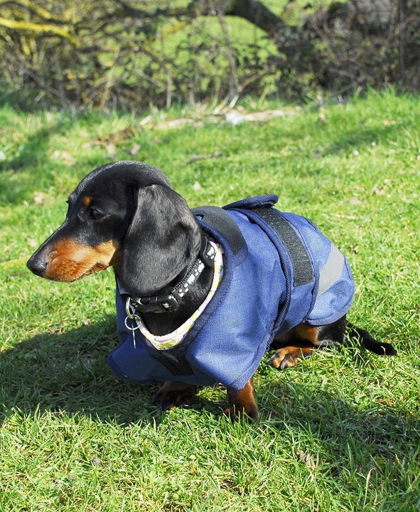 Rhinegold Highland Waterproof Dog Coat (Navy)