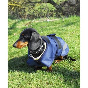 Rhinegold Highland Waterproof Dog Coat (Navy)