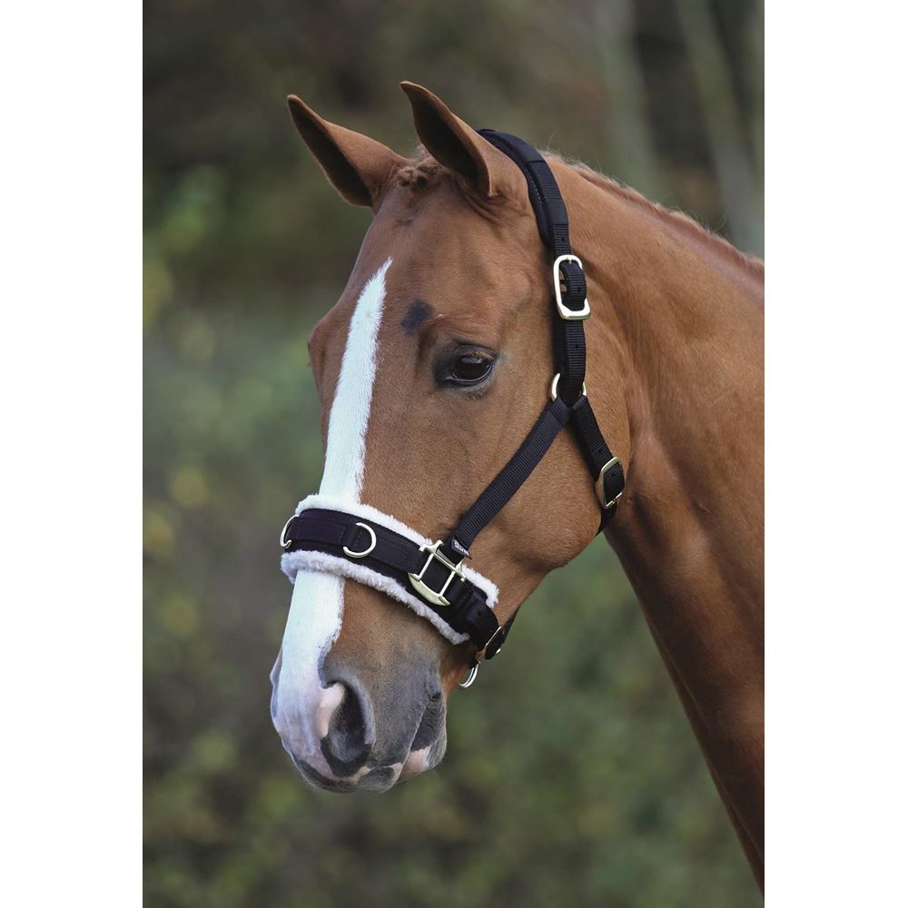 Shires Fleece Lined Lunge Cavesson