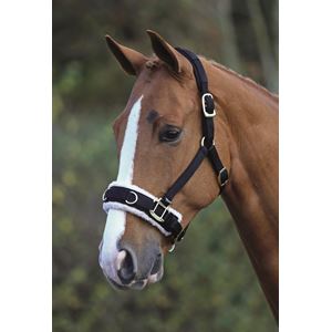 Shires Fleece Lined Lunge Cavesson