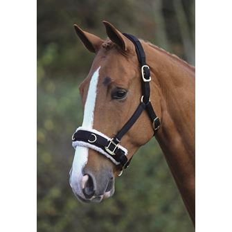 Shires Fleece Lined Lunge Cavesson