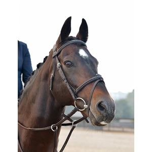 Weatherbeeta Collegiate Comfitec Opulux Fancy Stitch Padded Hanoverian Bridle