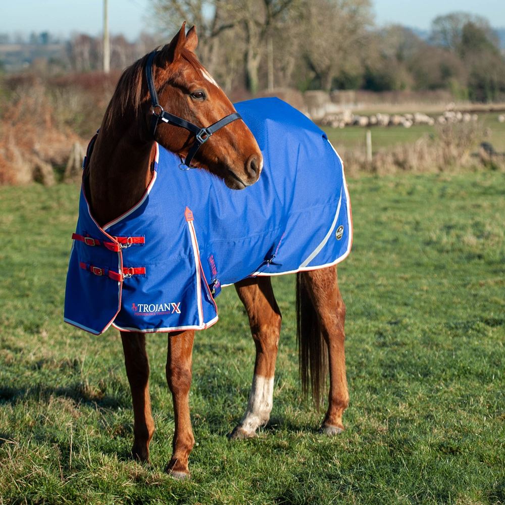Gallop Trojan Xtra 200 Dual Turnout Rug & Neck Set (Royal Blue)