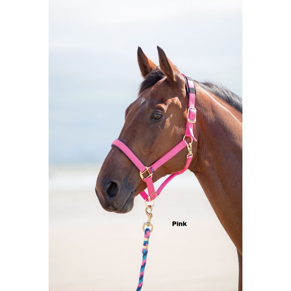 Shires Topaz Nylon Headcollar