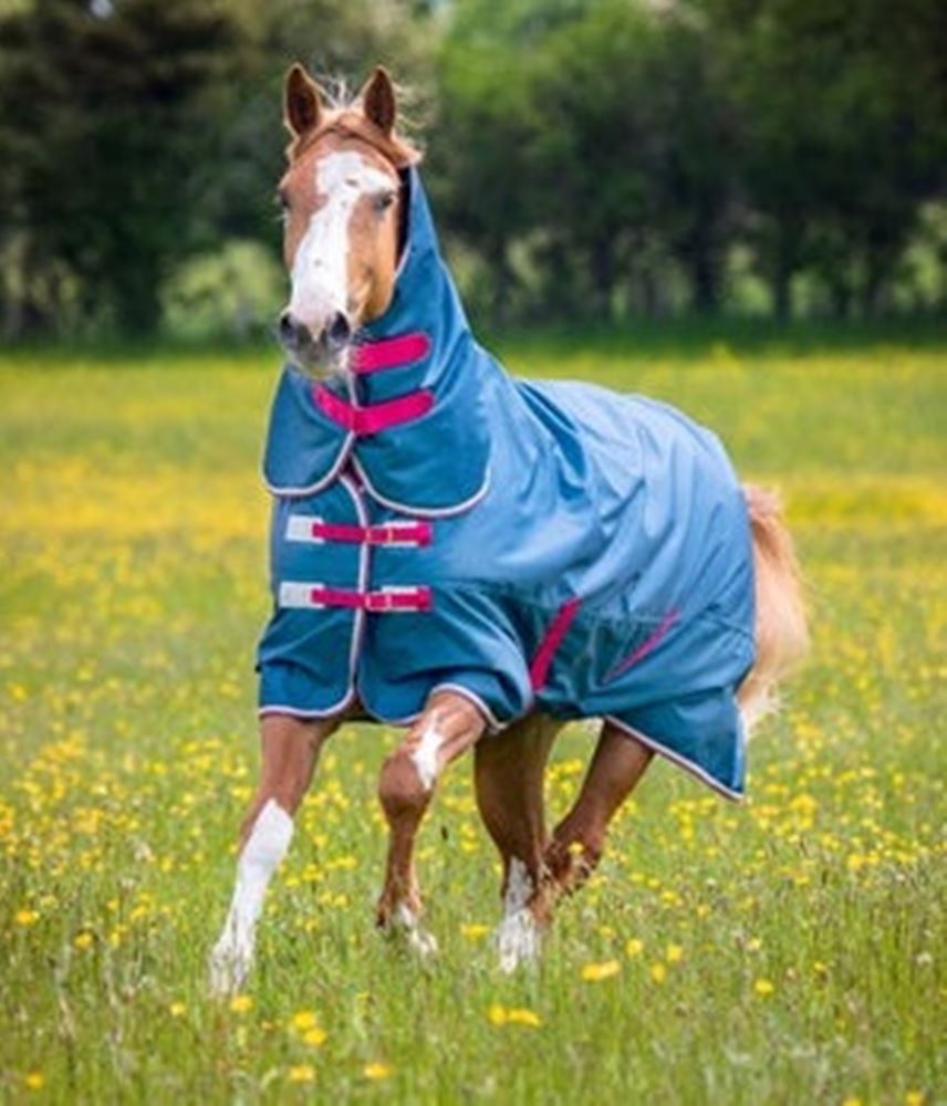 Shires Tempest Original Lite Combo Turnout Rug (Teal)