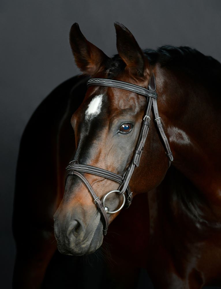 Weatherbeeta Collegiate Comfitec Opulux Fancy Stitch Padded Hanoverian Bridle