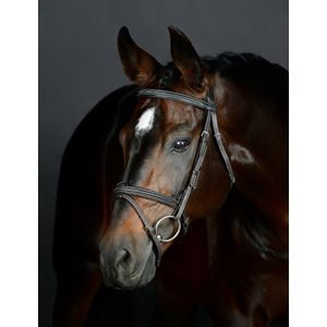 Weatherbeeta Collegiate Comfitec Opulux Fancy Stitch Padded Hanoverian Bridle