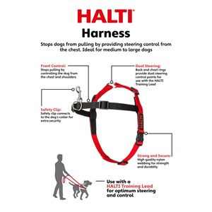 HALTI Harness - Small