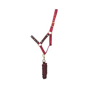 Riding Star Collection Head Collar & Lead Rope Set by Little Rider (Navy/Burgundy)