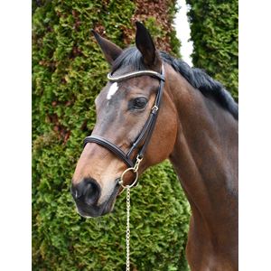 Rhinegold Veneto Leather Show Bridle With Clincher Browband (Havana)