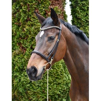 Rhinegold Veneto Leather Show Bridle With Clincher Browband (Havana)