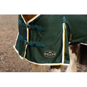 Gallop Summer Sheet (Green)