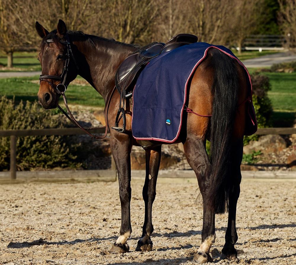 Weatherbeeta Essential Quarter Sheet (Navy/Burgundy)