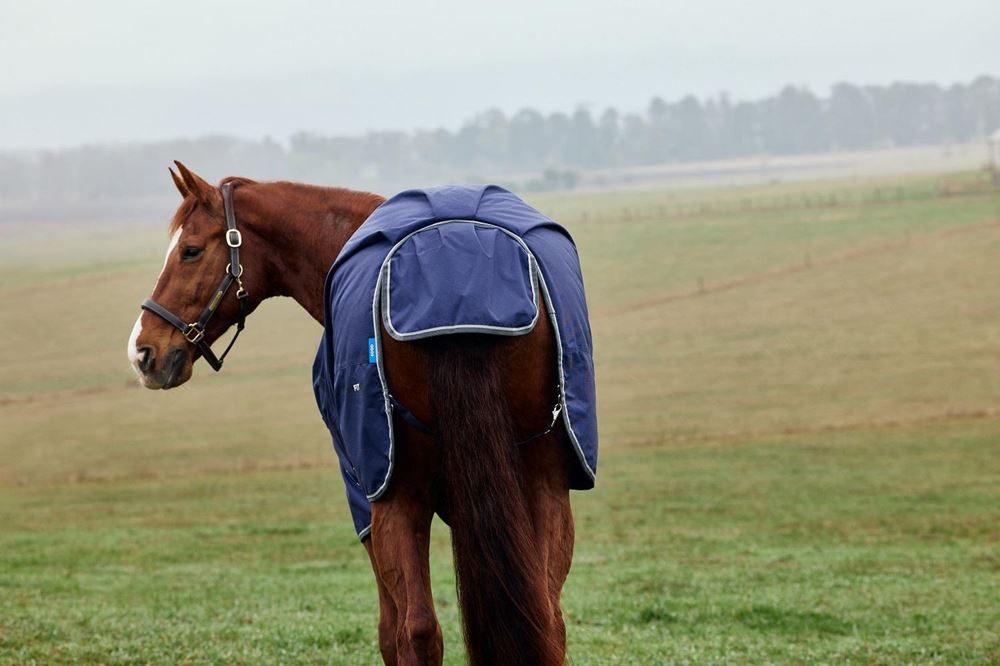 Weatherbeeta Comfitec Tyro Turnout Standard - 220g (Navy/Charcoal)