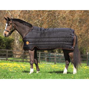 Horseware Rambo Ionic Liner 100g