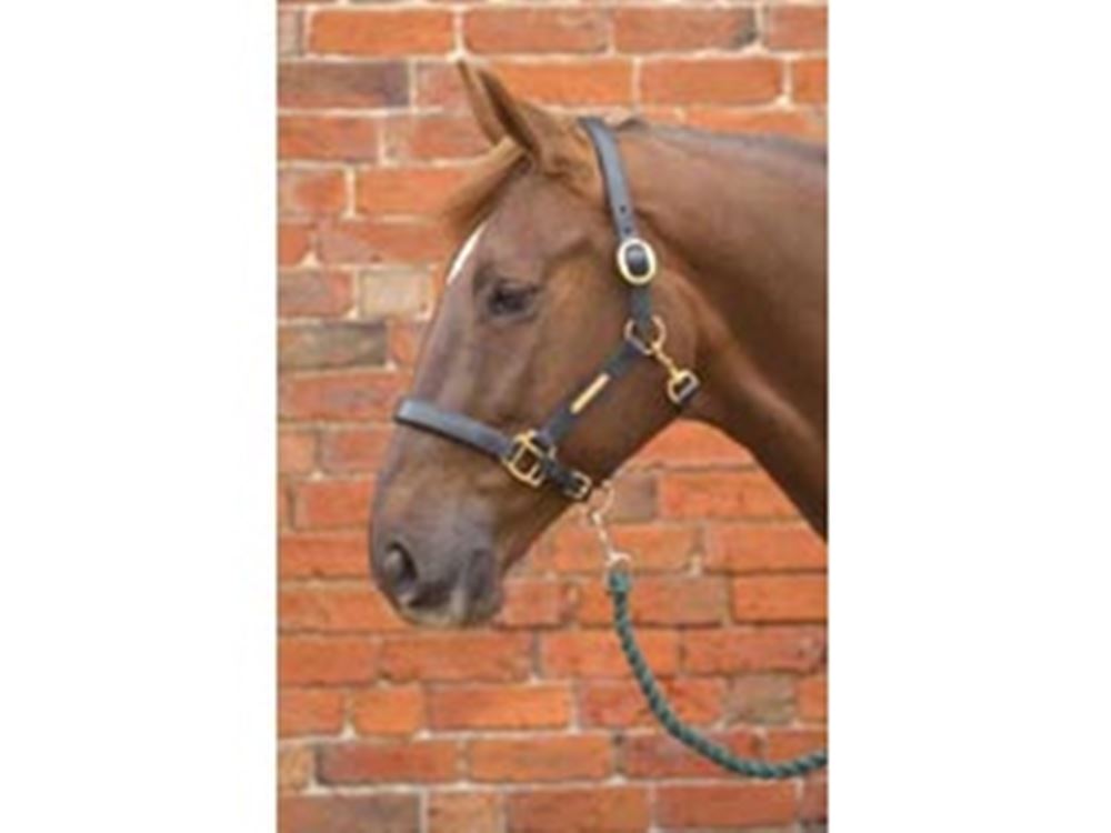 Hy Leather Head Collar