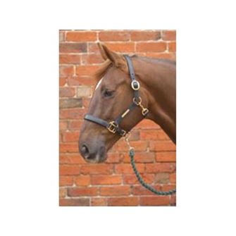 Hy Equestrian Leather Head Collar