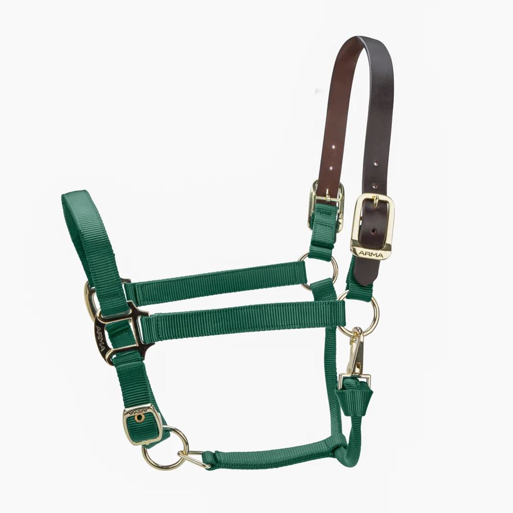 Shires ARMA Premium Adjustable FieldSafe Headcollar (Hunter)
