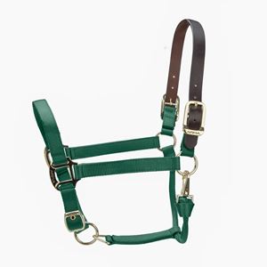 Shires ARMA Premium Adjustable FieldSafe Headcollar (Hunter)