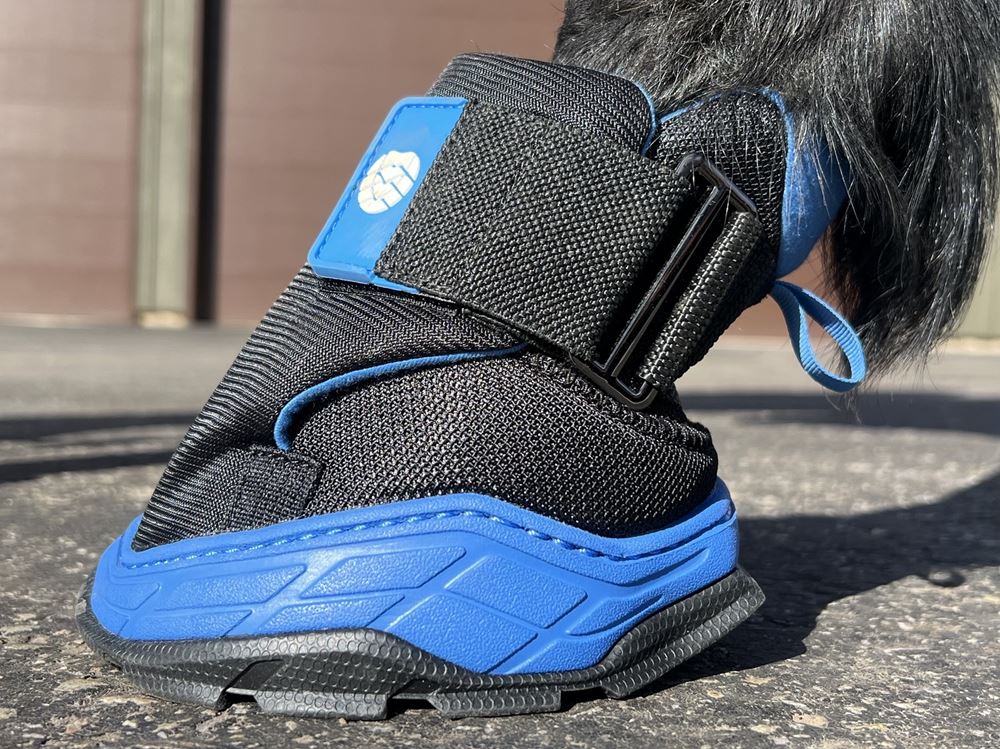 Easyboot RX Hoof Therapy Boot (Sizes 00-3)