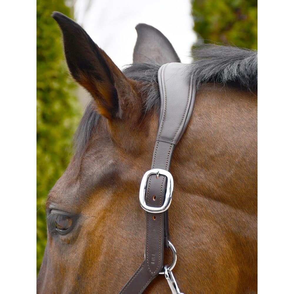 Rhinegold Softee Pro-Anatomical Leather Headcollar (Havana)