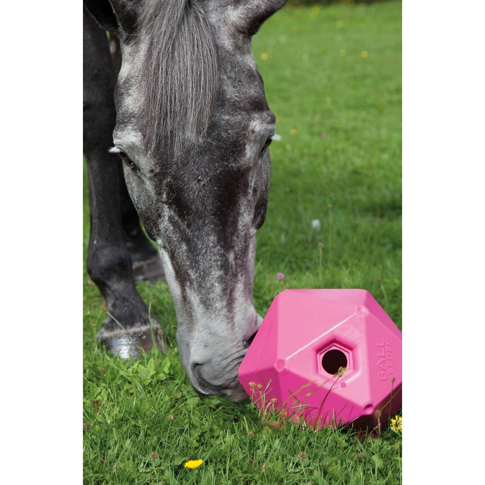 Shires Ball Feeder