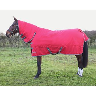Hy Equestrian StormX Empra 300g Combi Turnout Rug (Red)