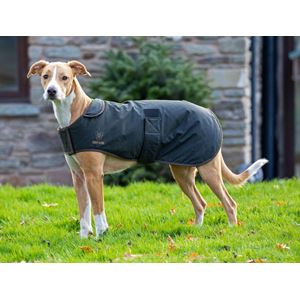 Shires Digby & Fox Wax Dog Coat (XXXXS - XXS)