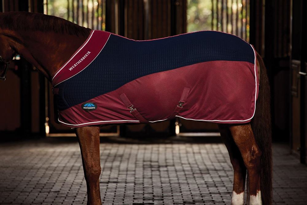 Weatherbeeta Therm-Air Cooler Standard (Navy/Burgundy)