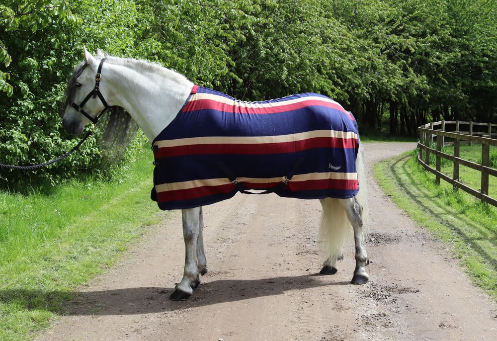 Rhinegold Elite Fleece Rug (Burgundy Stripe)