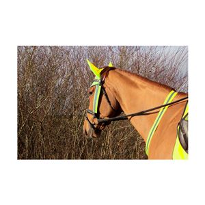 Hy Equestrian Reflector Martingale (Yellow)