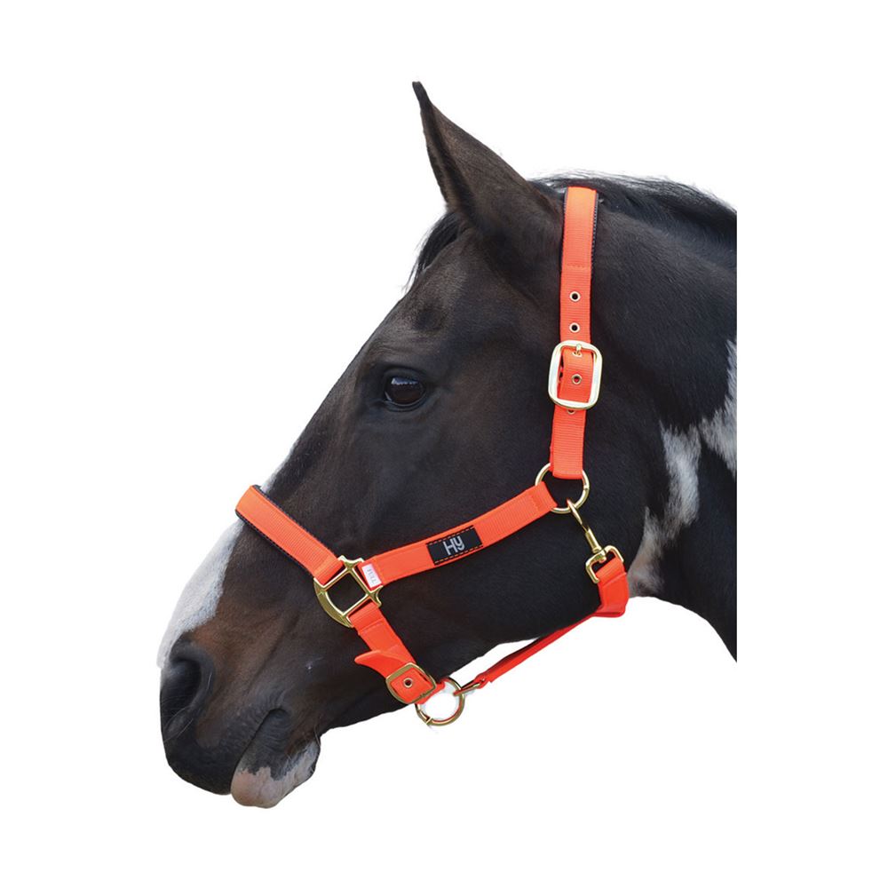 Hy Grand Prix Head Collar