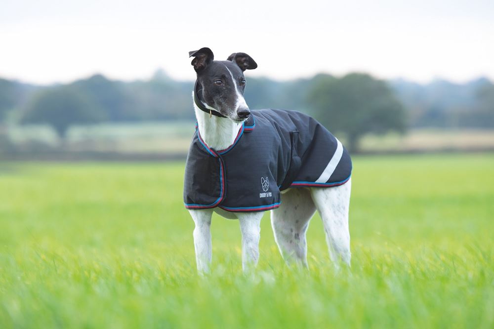 Shires Digby & Fox Waterproof Greyhound Coat (XXXS - S)