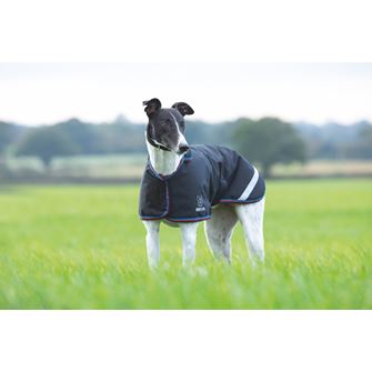 Shires Digby & Fox Waterproof Greyhound Coat (XXXS) *Clearance*