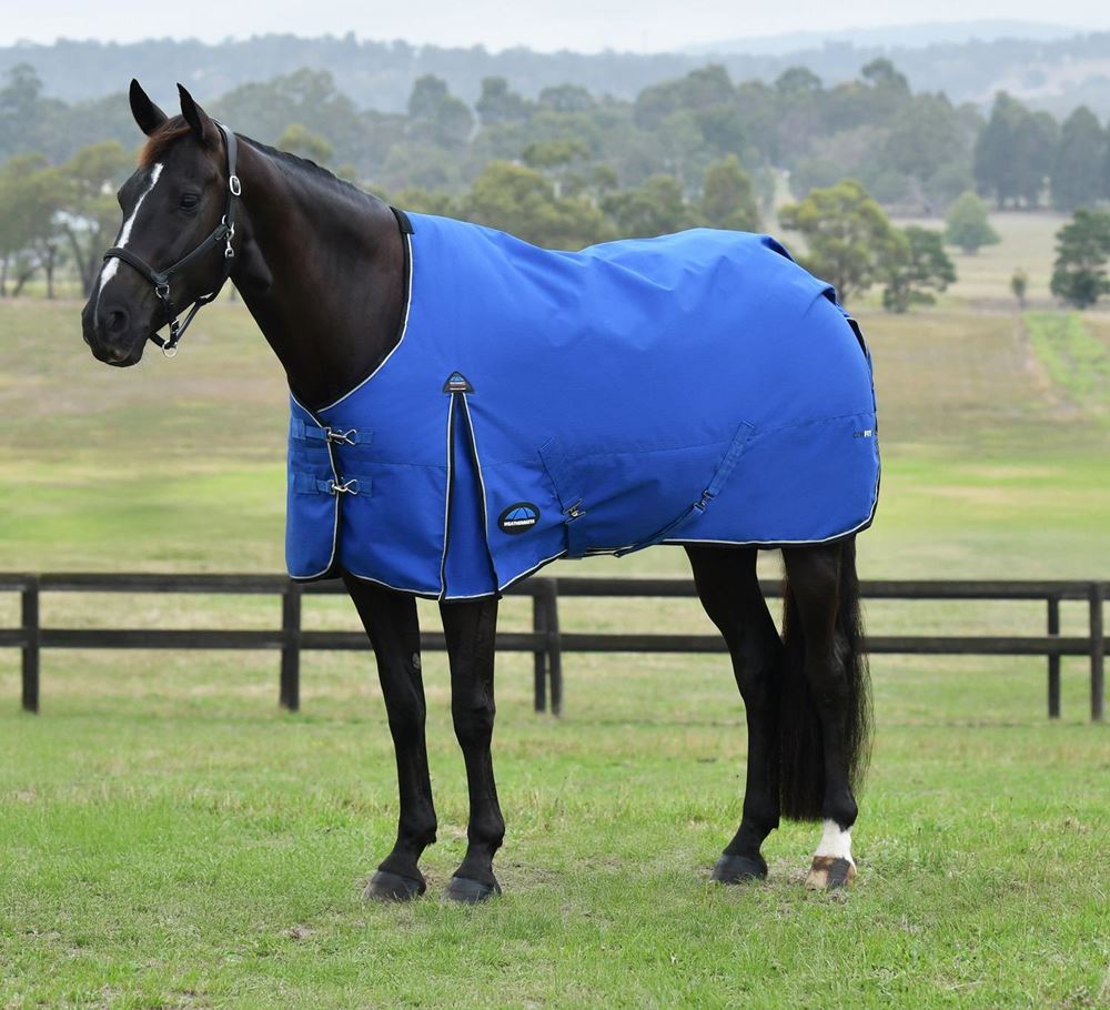 Weatherbeeta Comfitec Essential Turnout Standard Neck - 220g (Cobalt/Black)