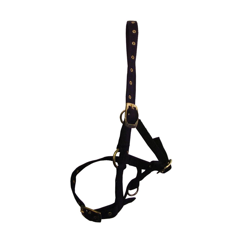 Hy Foal Head Collar