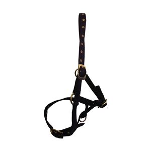 Hy Foal Head Collar